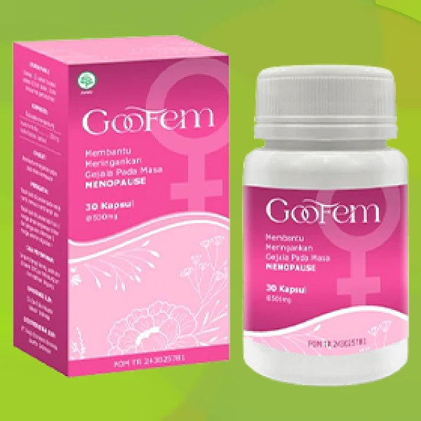 GOOFEM