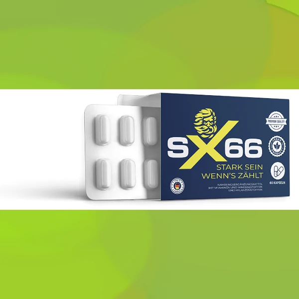SX 66